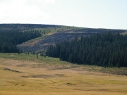 geological_area