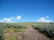 hill_seventyone_part_1