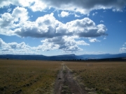 jarosa_mesa