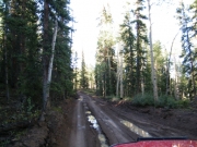 ruts
