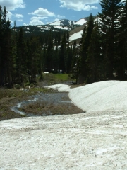 melting_snowbank