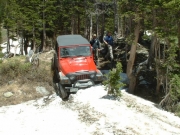 monica_found_a_tree_stump