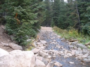 hidden_trail_by_the_bridge