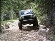bob_on_the_trail