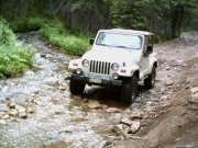 brian_in_the_creek