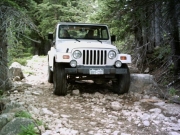 brian_on_the_trail