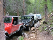 everyone_in_the_creek