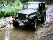 ladd_in_a_puddle