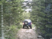 perry_in_the_trees