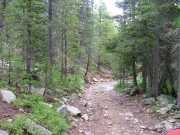 rocky_trail
