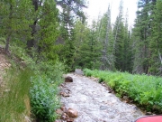the_creek