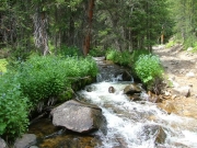 along_the_creek