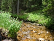 clear_water