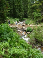 creek_crossing