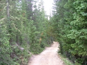 narrow_bridge
