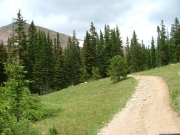 open_area