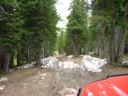snow_on_the_trail