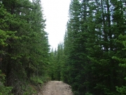 start_of_the_trail