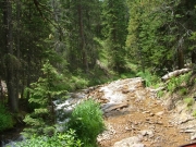 trail_in_the_creek