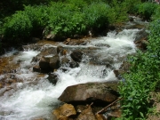 white_water