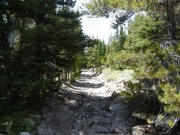 climbing_out