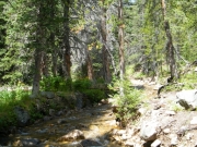 trail_in_the_creek