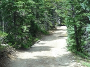 bridge