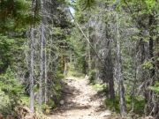 early_spur_climb