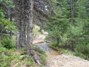 repaired_crossing