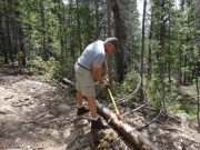 roger_chopping
