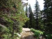 spur_at_the_creek_crossing