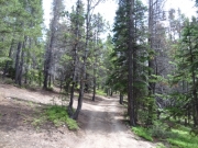 start_of_the_trail