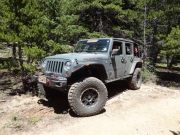 holly_on_the_trail