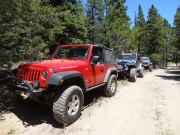 lunch_lineup