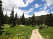 mountain_view