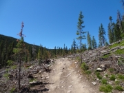 new_section_climb
