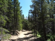 start_of_the_trail
