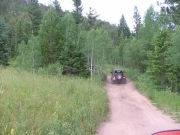 early_trail