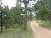 easy_road