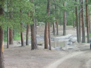 first_mud_puddle_part_1