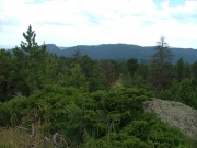 mountain_view
