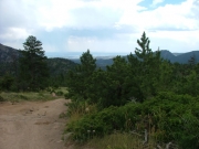 see_for_miles