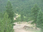 trail_in_the_distance