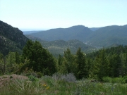 big_elk_meadows