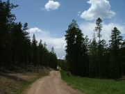 puffy_clouds