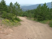 trail_in_scenery