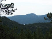 nice_view