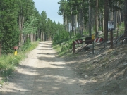 seasonal_gate