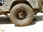 happy_beth_tire