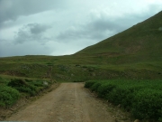easy_early_switchback